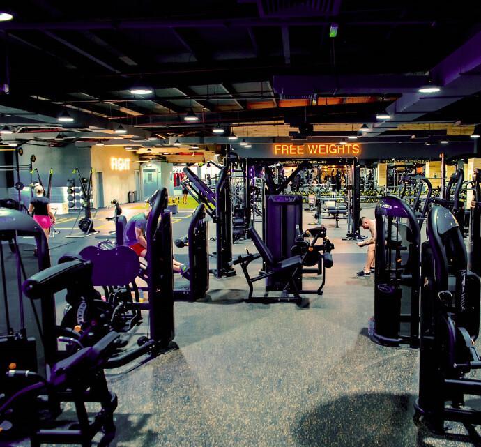 An image of a gym floor with selectorized equipment