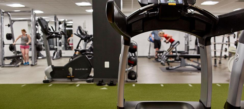 Modern gym with people exercising on various machines and a green artificial turf area.