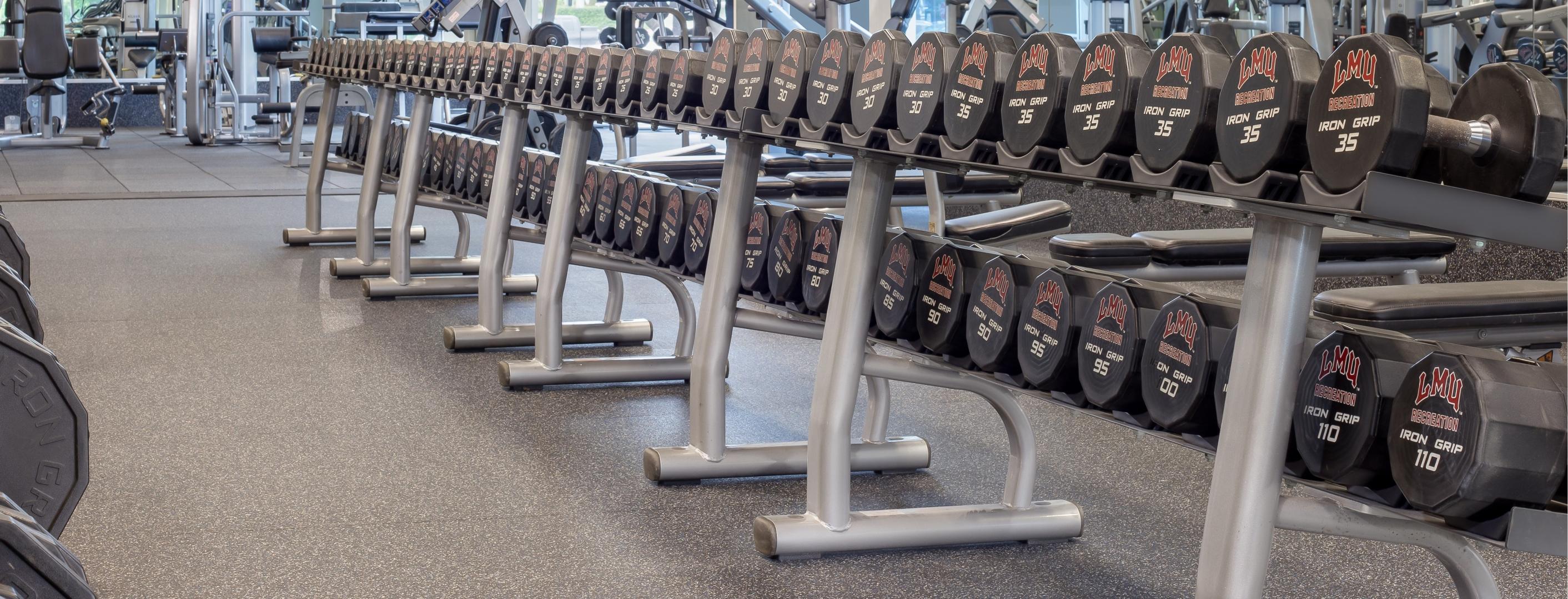A row of dumb bells are set up on a rack in a gym on top of Ecore Performance product