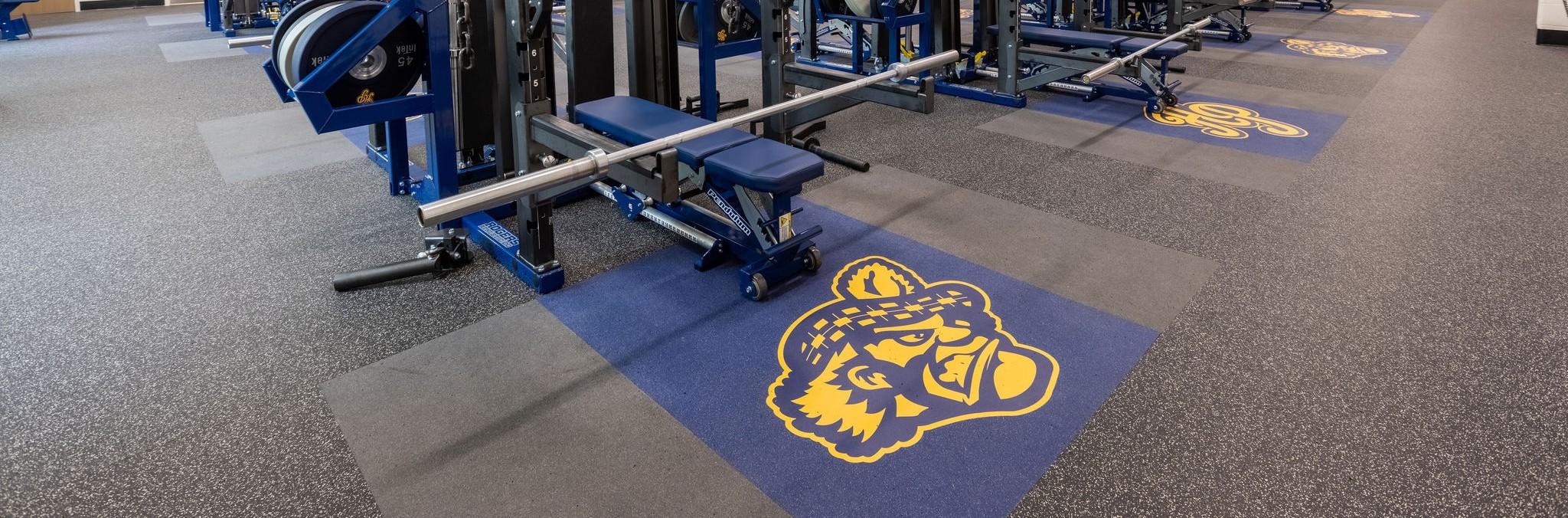 A shot of a weight room from a college that shows lifting platforms