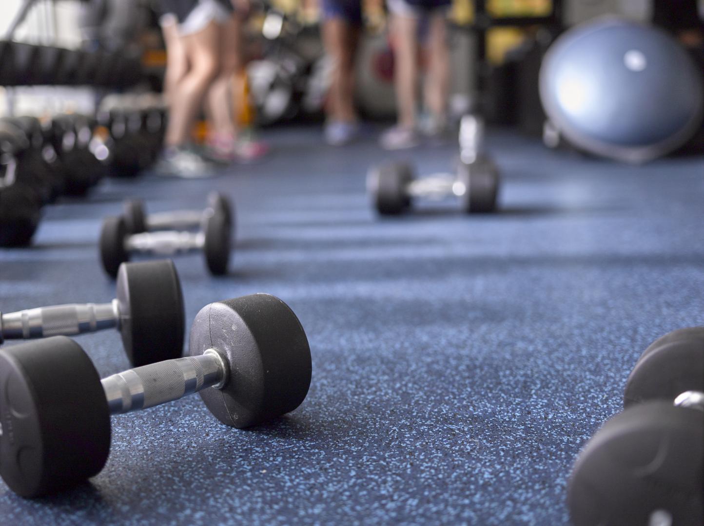 Dumb bells on the ground on Performance Motivate