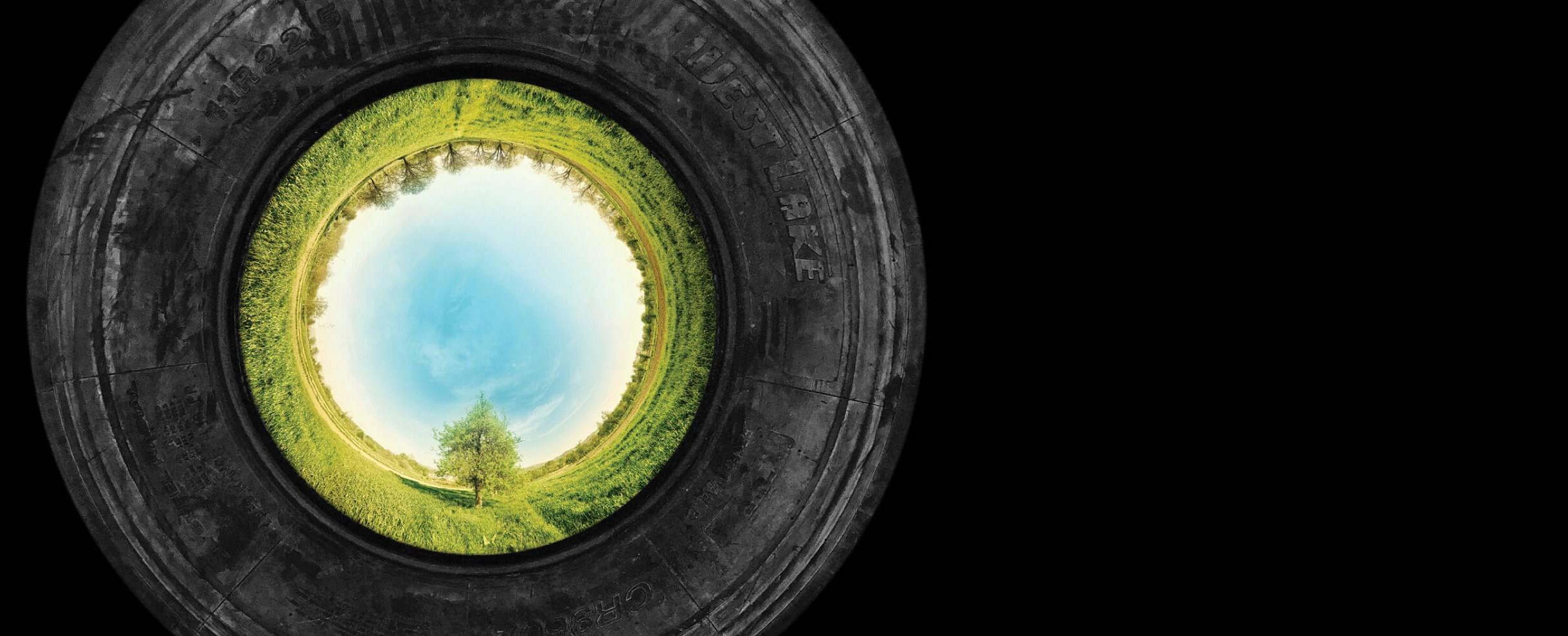 A green forest an grass setting inside of a commercial tire on a black background