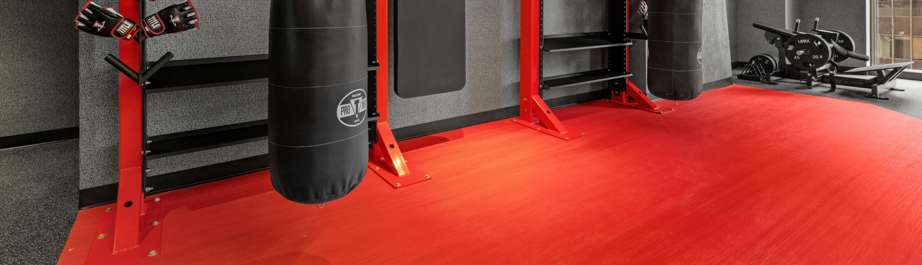 A fitness center with Moxie Motivate Plus installed with other fitness equipment