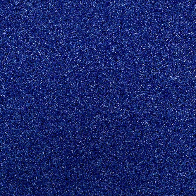Florida Blue